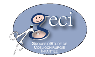 logo geci