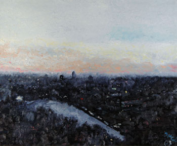 lyon 2013